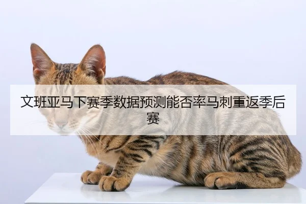 文班亚马下赛季数据预测能否率马刺重返季后赛