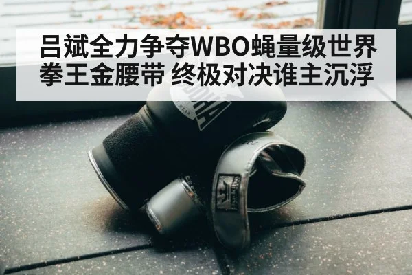 吕斌全力争夺WBO蝇量级世界拳王金腰带 终极对决谁主沉浮